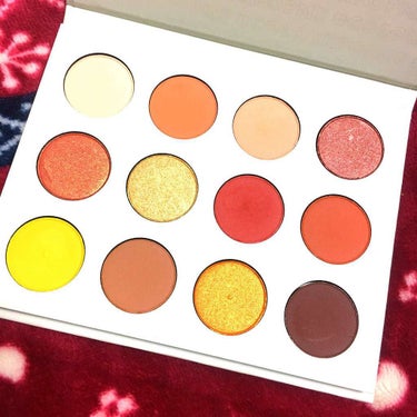 Yes,Please! Shadow Palette/ColourPop/パウダーアイシャドウを使ったクチコミ（1枚目）