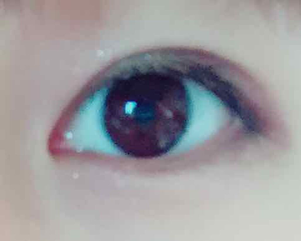 グロッシーリッチ アイズ/Visée/アイシャドウパレットを使ったクチコミ（3枚目）