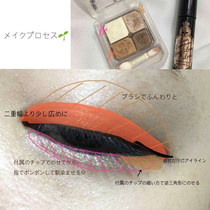 ジュエリングアイズ/MAJOLICA MAJORCA/アイシャドウパレットを使ったクチコミ(2枚目)