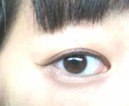 リシェ リキッド アイライナー/Visée/リキッドアイライナーを使ったクチコミ(3枚目)