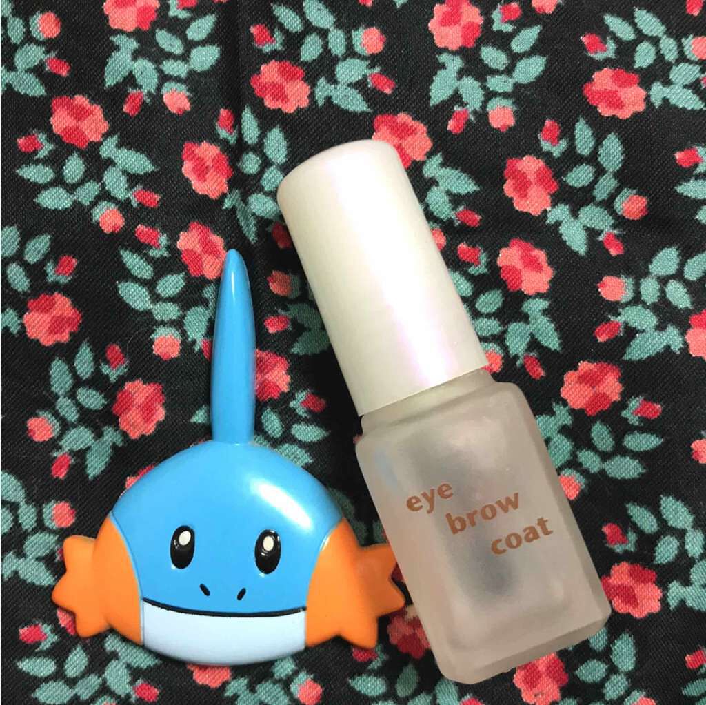 エバビレーナ アイブローコート/DAISO/アイブロウコートを使ったクチコミ（1枚目）