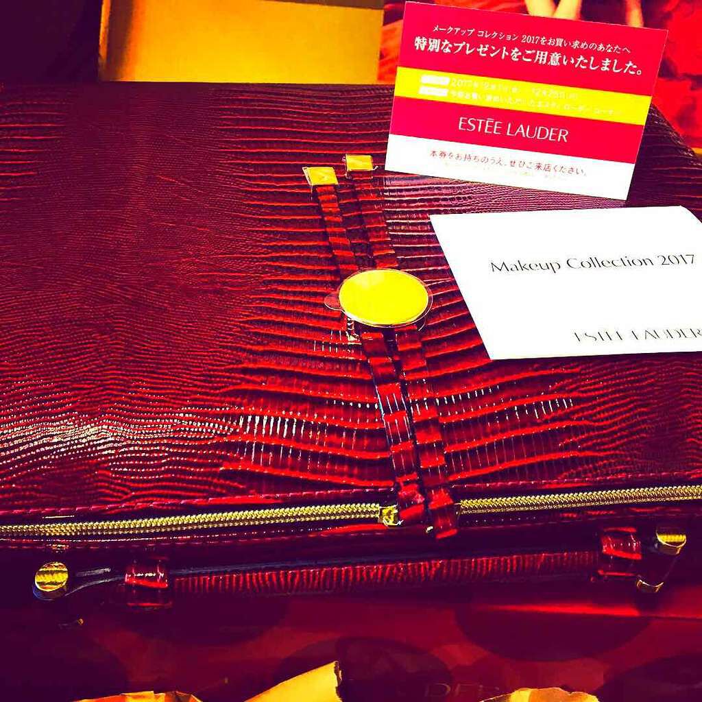 Makeup collection 2017/ESTEE LAUDER/メイクアップキットを使ったクチコミ（2枚目）
