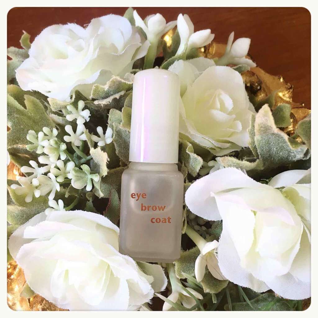 エバビレーナ アイブローコート/DAISO/アイブロウコートを使ったクチコミ（1枚目）