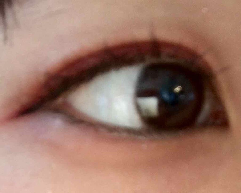 レ キャトル オンブル/CHANEL/アイシャドウパレットを使ったクチコミ(3枚目)