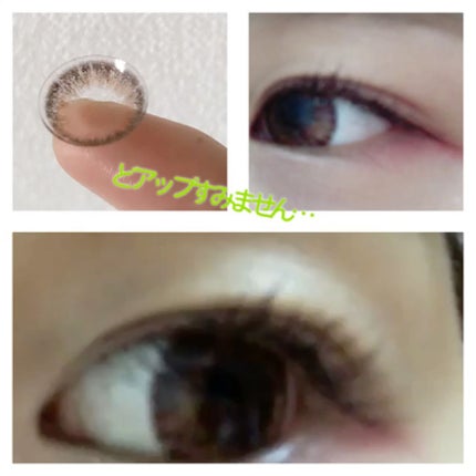 エバーカラーワンデー モイストレーベル/エバーカラー/ワンデー(1DAY)カラコンを使ったクチコミ(2枚目)