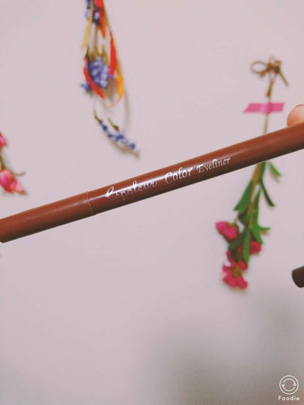 エスポルールカラーアイライナー/エスポルール/リキッドアイライナーを使ったクチコミ(1枚目)