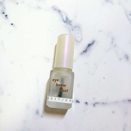 エバビレーナ アイブローコート/DAISO/アイブロウコートを使ったクチコミ(1枚目)