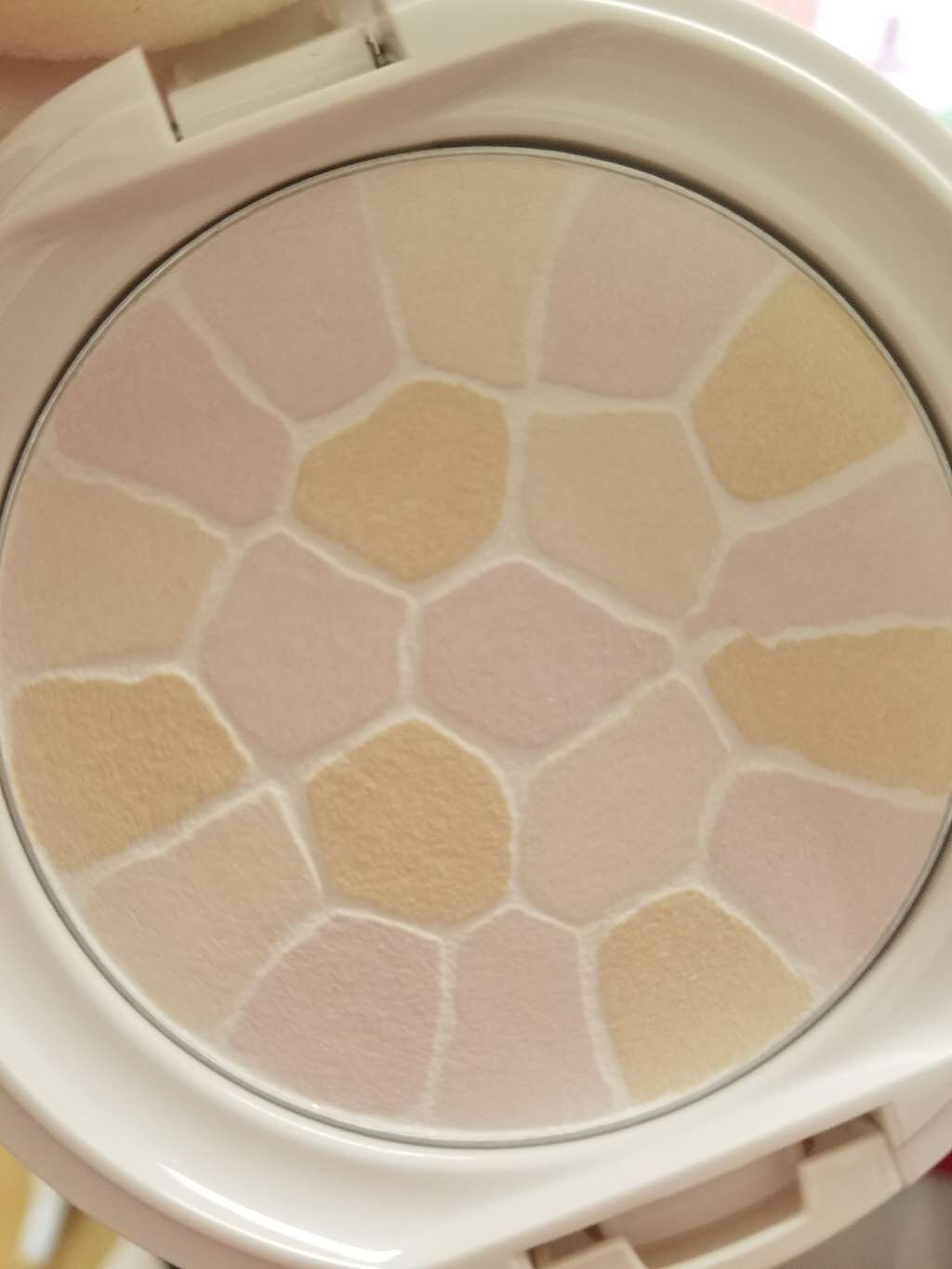 ラ プードル オートニュアンス/Elégance/プレストパウダーを使ったクチコミ(3枚目)