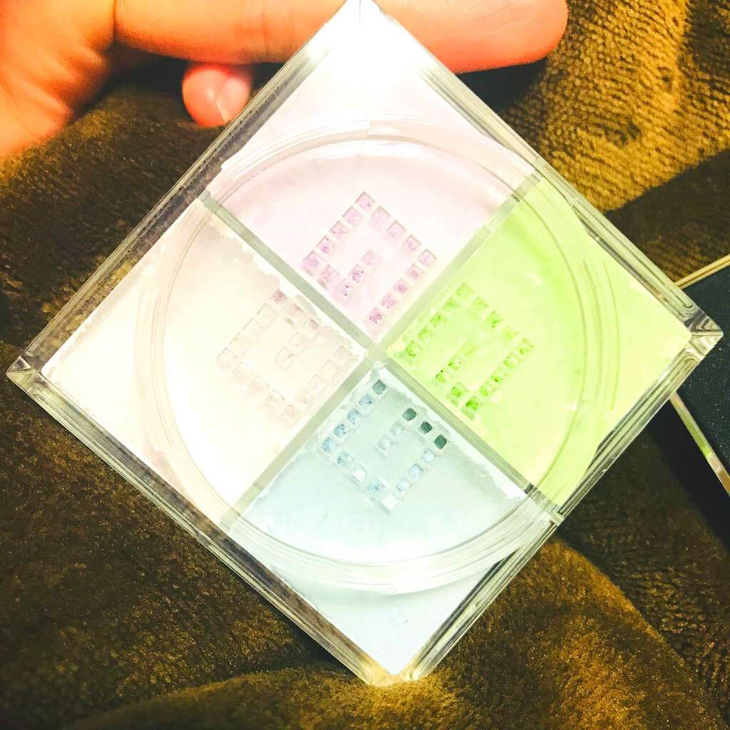 プリズム・リーブル/GIVENCHY/ルースパウダーを使ったクチコミ(3枚目)