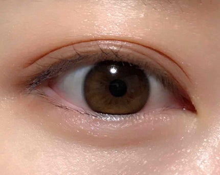 スキニーリッチシャドウ/excel/アイシャドウパレットを使ったクチコミ(2枚目)