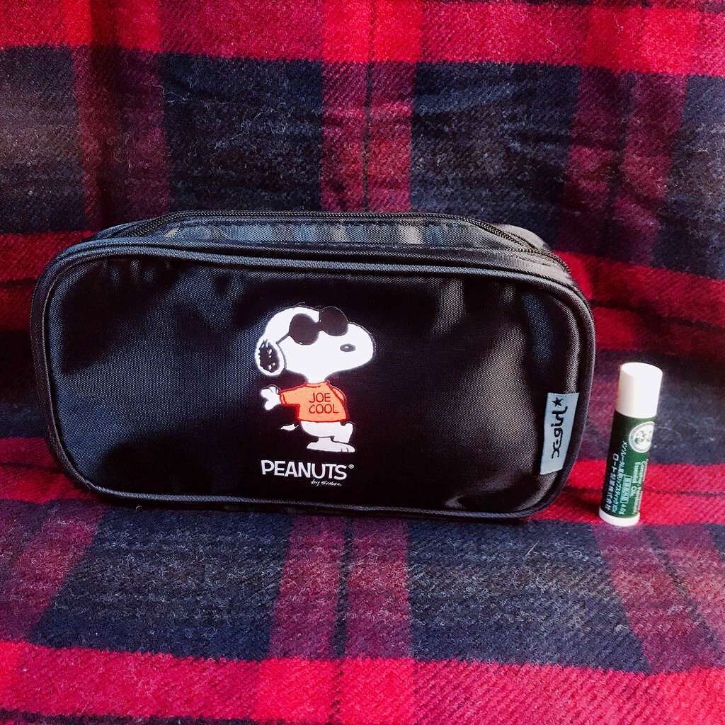 みのむし on LIPS 「今日、12/1発売のmini1月号😳✨付録目当てで2ヶ月連続購..」(1枚目)