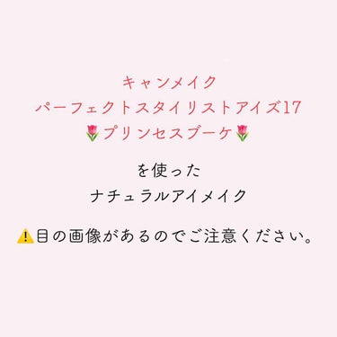 【旧品】パーフェクトスタイリストアイズ/キャンメイク/パウダーアイシャドウを使ったクチコミ（1枚目）