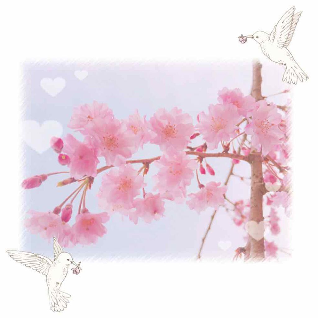 あもこ ୨୧ *⑅ ·̩͙ on LIPS 「私はアトピー性皮膚炎です。肌の調子は良かったり悪かったりで、良..」(1枚目)