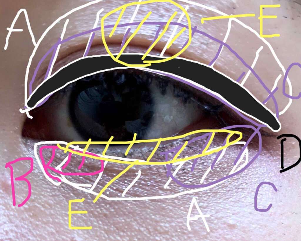 【旧品】パーフェクトスタイリストアイズ/キャンメイク/アイシャドウパレットを使ったクチコミ（2枚目）