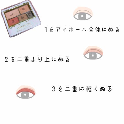 パーフェクトマルチアイズ/キャンメイク/アイシャドウパレットを使ったクチコミ(2枚目)