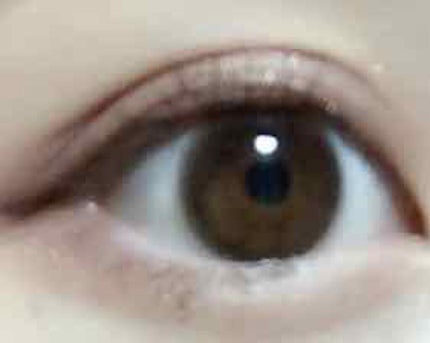 ReVIA 1month/ReVIA/1ヶ月(1MONTH)カラコンを使ったクチコミ(2枚目)