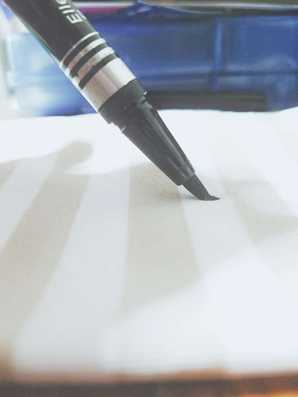 エルファー フェルトアイライナーA/DAISO/リキッドアイライナーを使ったクチコミ(3枚目)