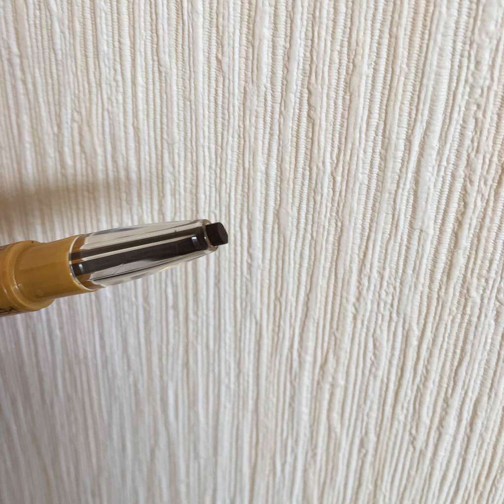 パウダー&ペンシル アイブロウEX/excel/アイブロウペンシルを使ったクチコミ(2枚目)