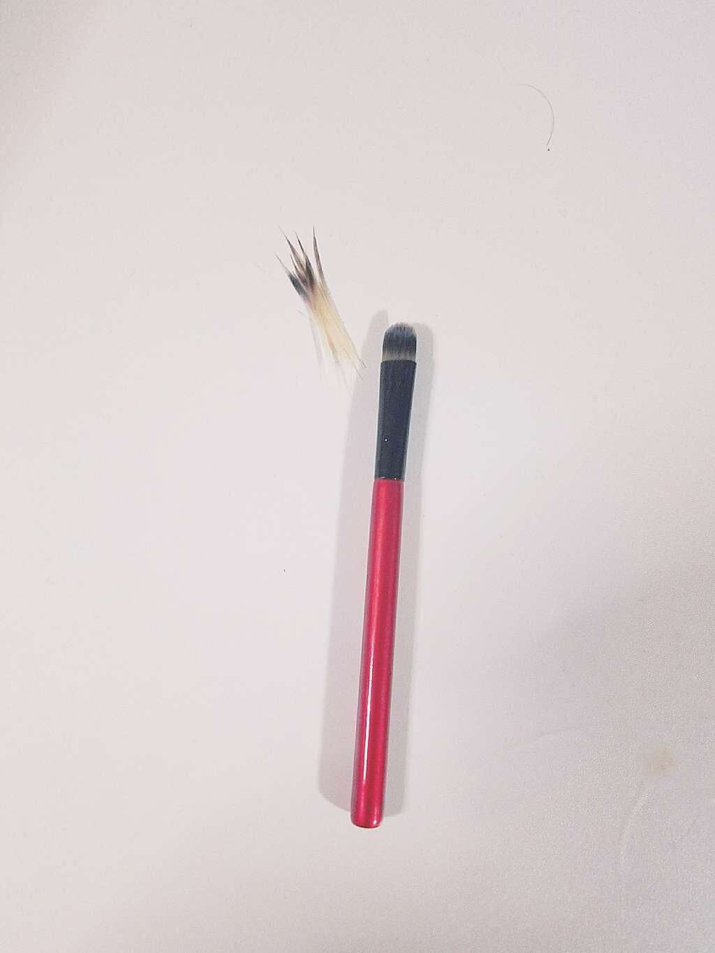 春姫 アイシャドウブラシ/DAISO/メイクブラシを使ったクチコミ(1枚目)