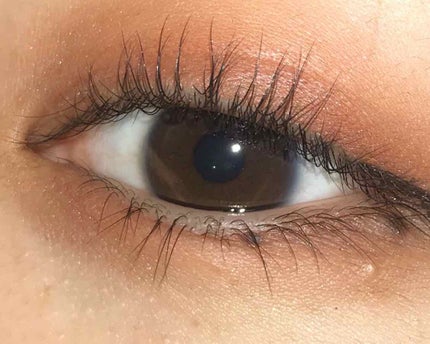 パーフェクトマルチアイズ/キャンメイク/アイシャドウパレットを使ったクチコミ(2枚目)