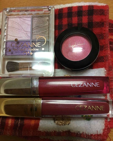 エアリータッチシャドウ/CEZANNE/アイシャドウパレットを使ったクチコミ(2枚目)