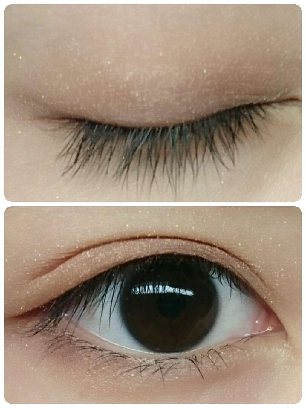 ドラマティックスタイリングアイズ/マキアージュ/アイシャドウパレットを使ったクチコミ(2枚目)