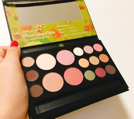 プラネットカラーパレット/マリブビューティー/メイクアップキットを使ったクチコミ(3枚目)