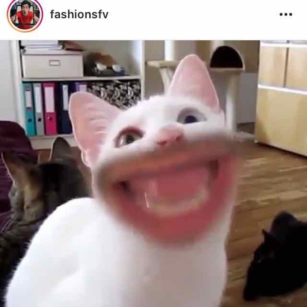 クリスタルデュオ リップスティック/Visée/口紅を使ったクチコミ(1枚目)