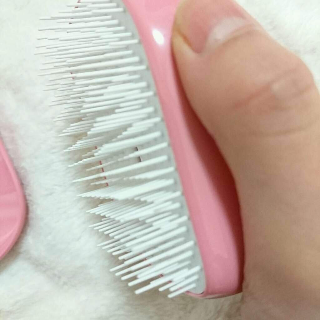 コンパクトスタイラー/TANGLE TEEZER/ヘアブラシを使ったクチコミ（2枚目）