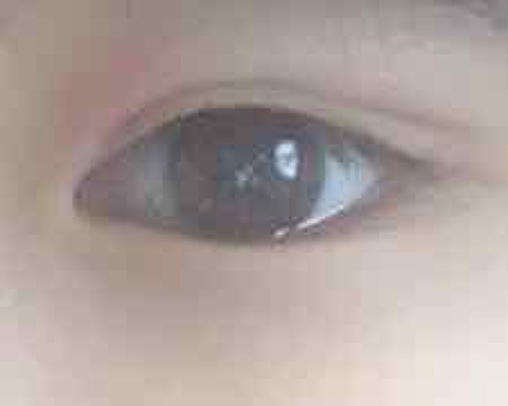 ローヤルプチアイムSII/ROYAL/二重まぶた用アイテムを使ったクチコミ(4枚目)