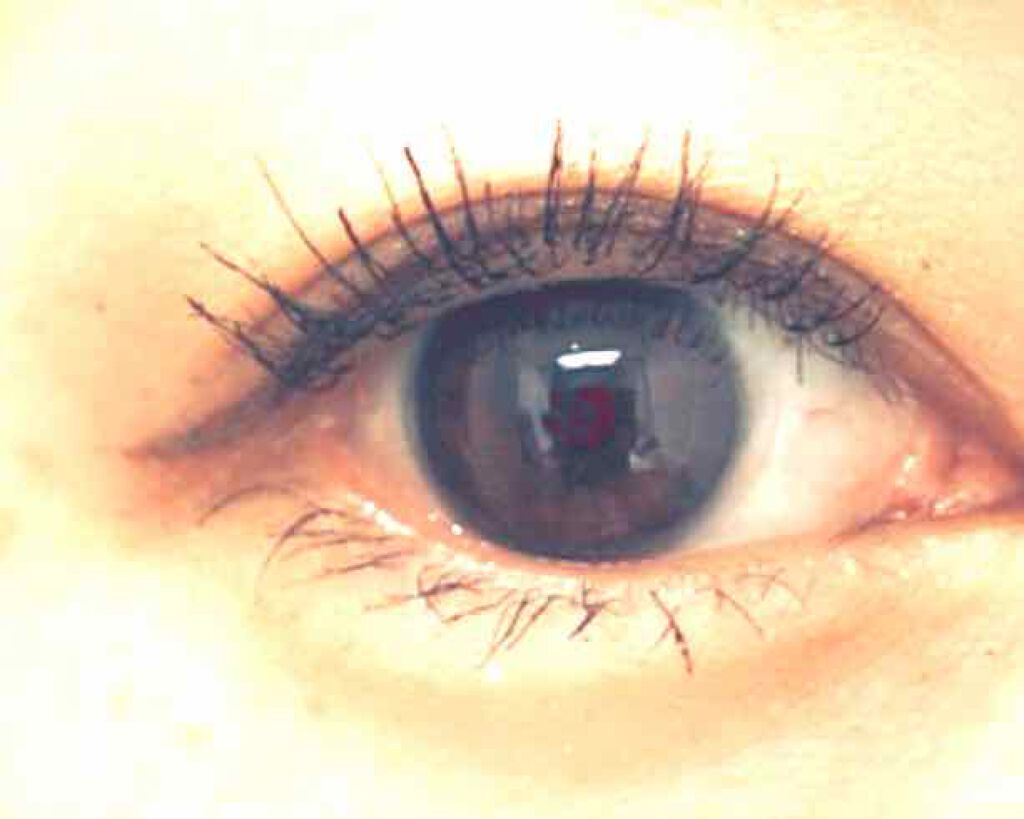 クイックラッシュカーラー/キャンメイク/マスカラ下地を使ったクチコミ(2枚目)