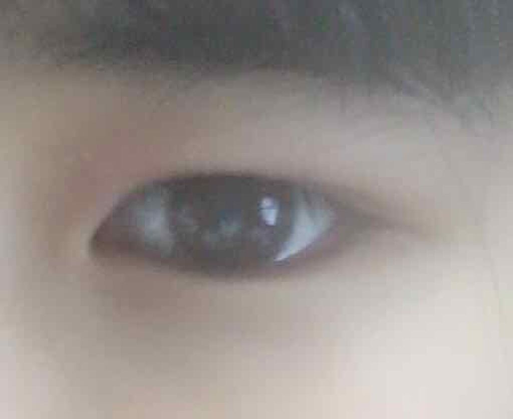 ローヤルプチアイムSII/ROYAL/二重まぶた用アイテムを使ったクチコミ(3枚目)