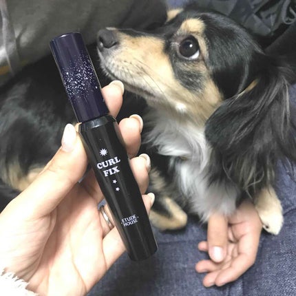 ETUDE ユニバース ラッシュパーム カールフィックスマスカラのクチコミ「本日アップしたエチュードハウス縛りメイクで使用したマスカラです(人゚∀゚*)♪
エチュードハ.....」(1枚目)