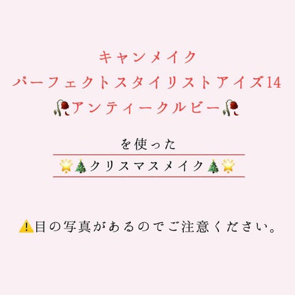 【旧品】パーフェクトスタイリストアイズ/キャンメイク/アイシャドウパレットを使ったクチコミ(1枚目)