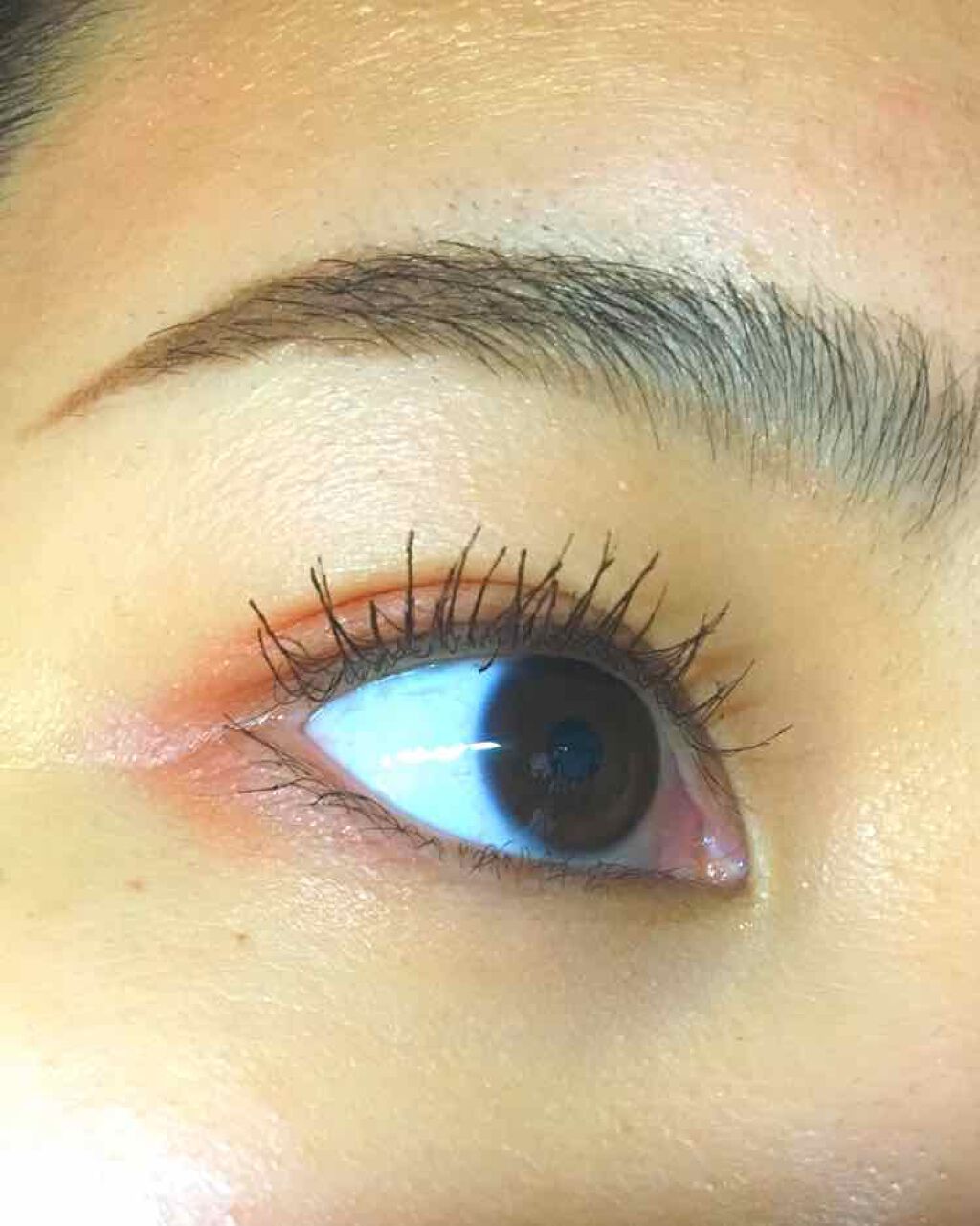 ドリームラッシュ フィルム マスカラベース/MAYBELLINE NEW YORK/マスカラ下地を使ったクチコミ（2枚目）