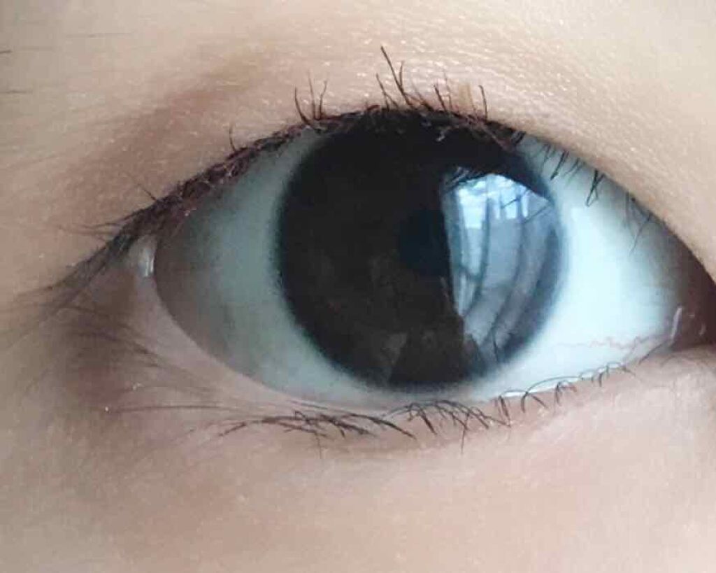 インク カラー カラ（AD）/PERIPERA/マスカラを使ったクチコミ（3枚目）