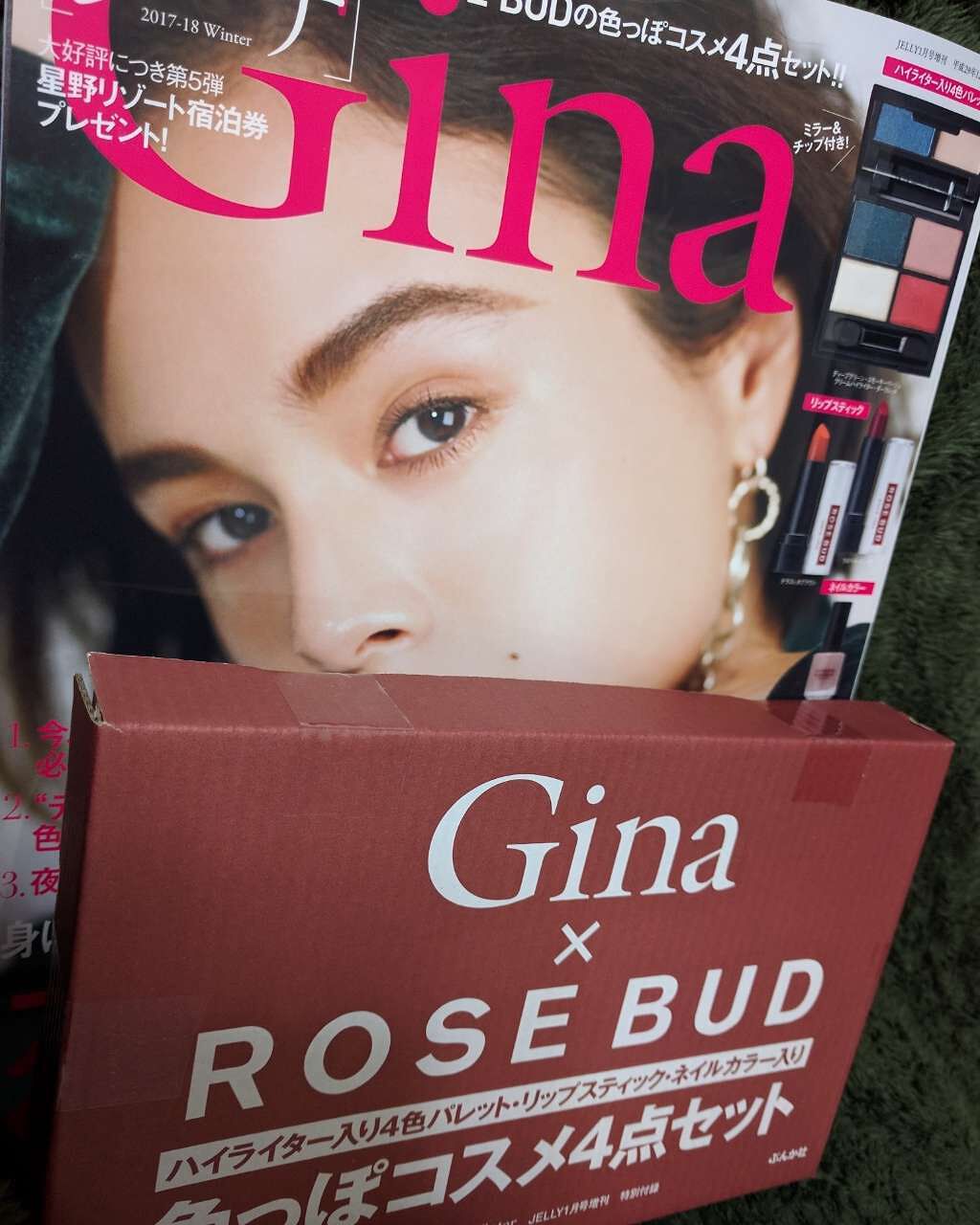 Gina 2018年1月号/Gina/雑誌を使ったクチコミ(1枚目)