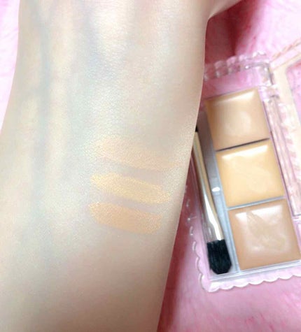 カラーミキシングコンシーラー/キャンメイク/パレットコンシーラーを使ったクチコミ(2枚目)