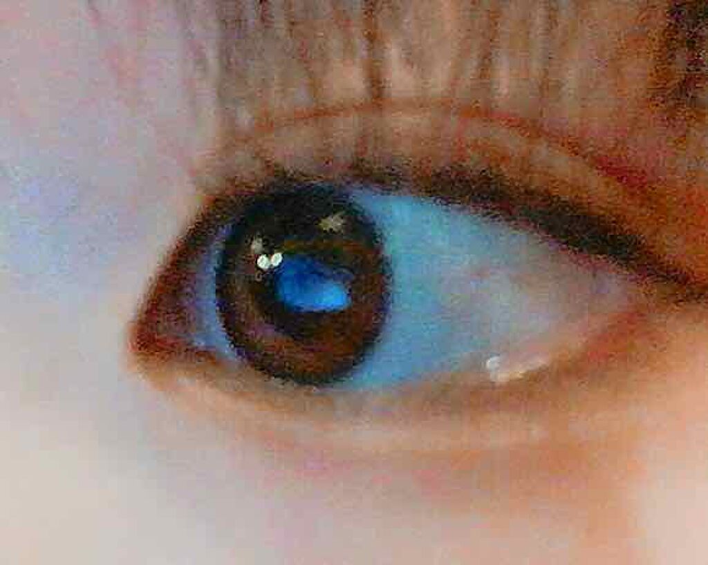 アイニュアンス/キャンメイク/アイシャドウパレットを使ったクチコミ（1枚目）