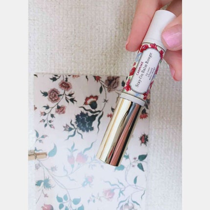 ステイオンバームルージュ/キャンメイク/口紅を使ったクチコミ(1枚目)