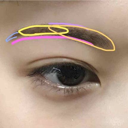 デザイニングアイブロウN/KATE/パウダーアイブロウを使ったクチコミ(2枚目)