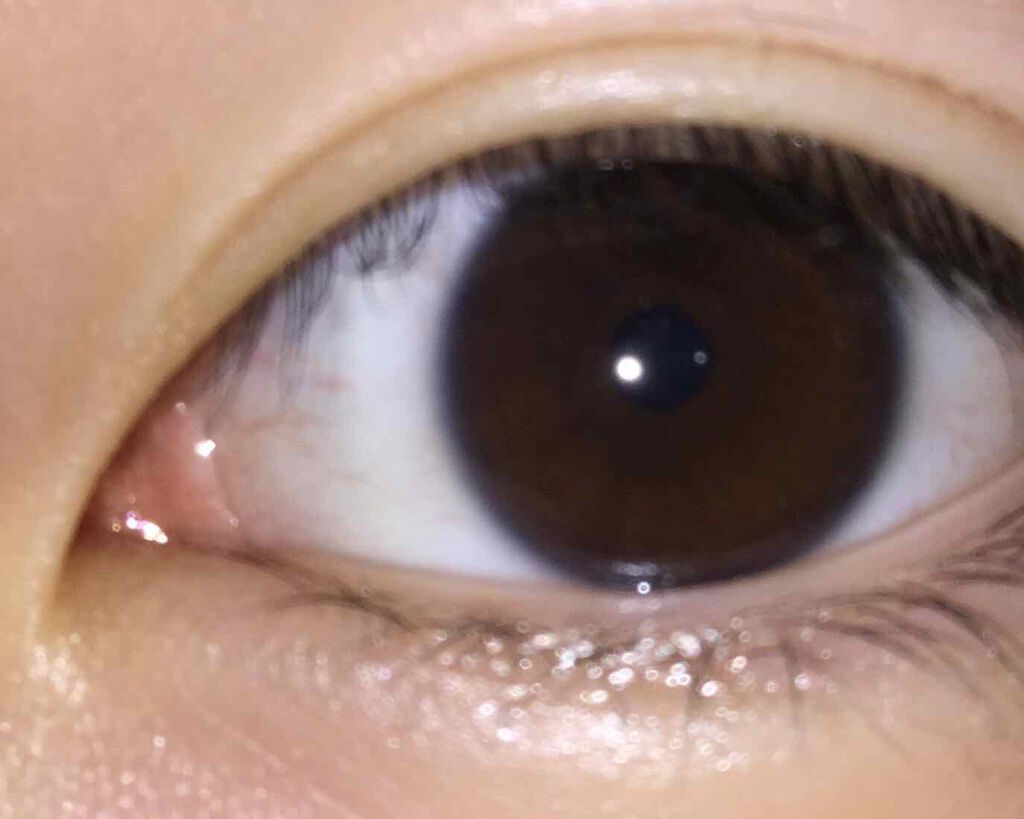 クイックラッシュカーラー/キャンメイク/マスカラ下地を使ったクチコミ（2枚目）