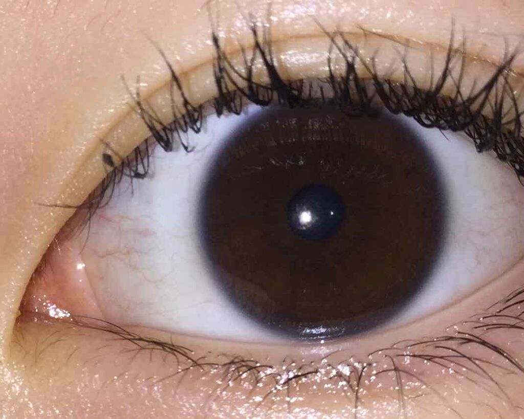 クイックラッシュカーラー/キャンメイク/マスカラ下地を使ったクチコミ（3枚目）