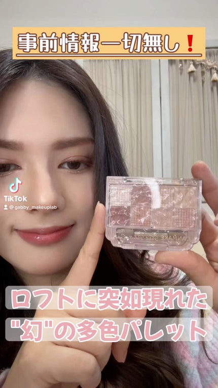 プティパレットアイズ/キャンメイク/パウダーアイシャドウの人気ショート動画