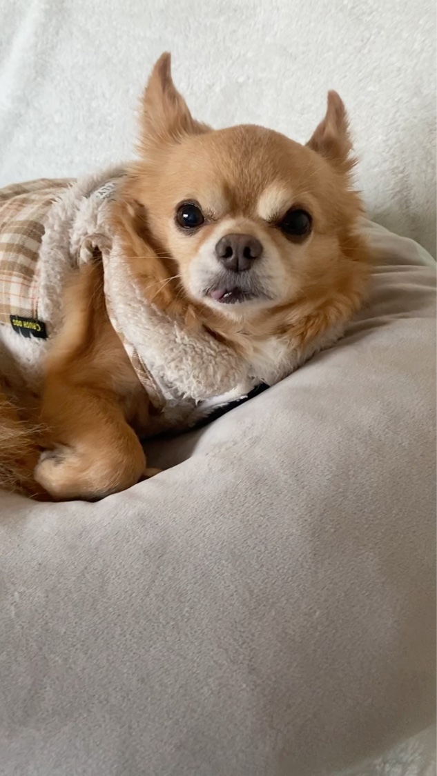 ランテルディ オーデパルファム ミレジム 2022/GIVENCHY/香水(レディース)を使ったクチコミ（3枚目）