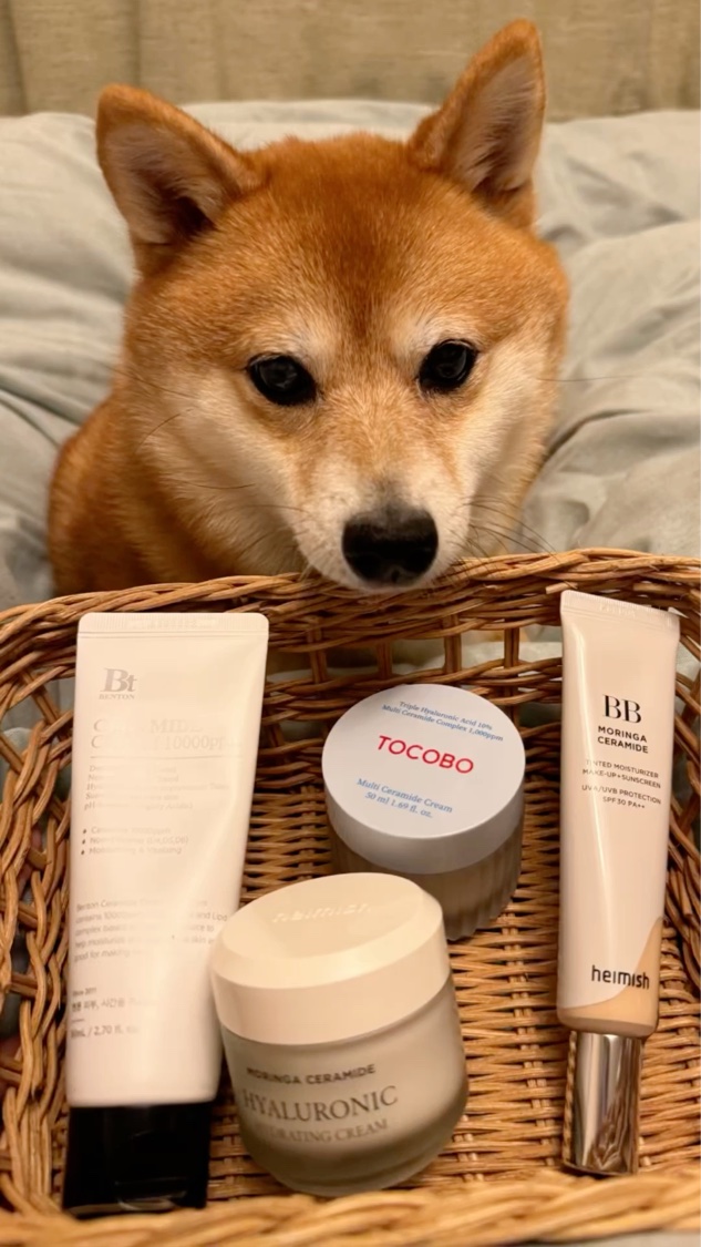 マルチセラミドクリーム/TOCOBO/フェイスクリームを使ったクチコミ（1枚目）