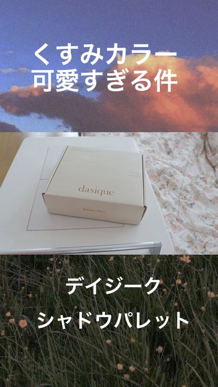 シャドウパレット/dasique/アイシャドウパレットの人気ショート動画