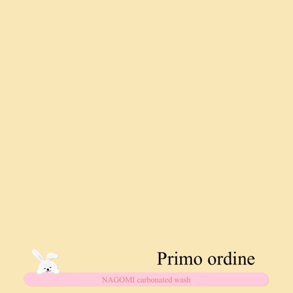 なごみ炭酸スパウォッシュ/プリモディーネ/泡洗顔を使ったクチコミ（2枚目）
