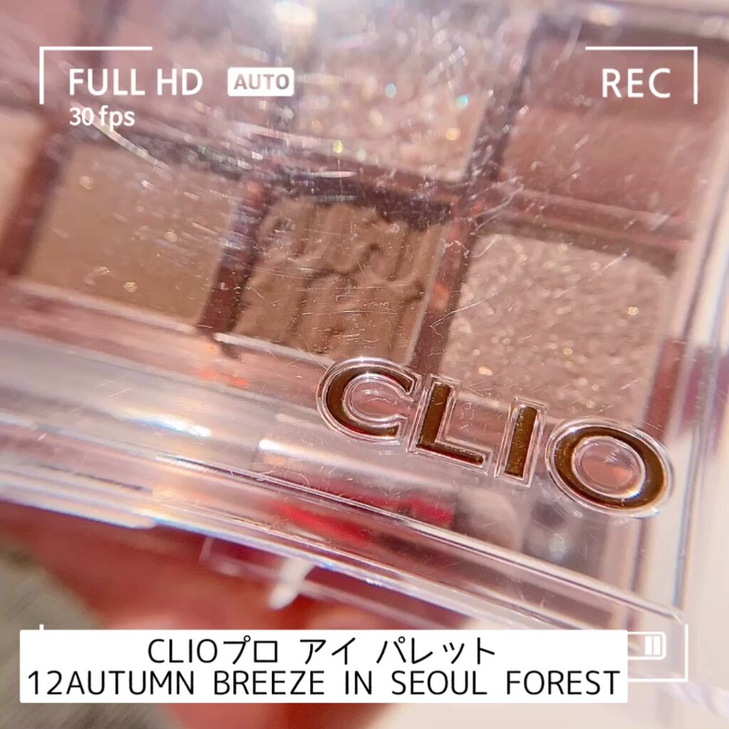 プロ アイ パレット/CLIO/アイシャドウパレットを使ったクチコミ（1枚目）