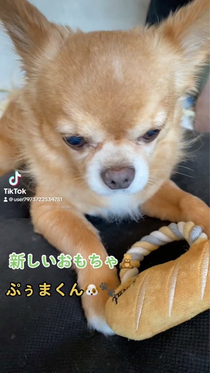 スナイデル パフュームド ヘア ミスト In Bloom/SNIDEL BEAUTY/ヘアミストを使ったクチコミ(4枚目)